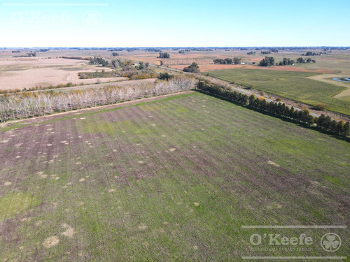 Campo En Venta De 77 Has En Saladillo - Agricola Ganadero
