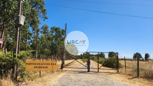 En Venta Terreno De 7 Hectáreas, Talca, Panguilemu.