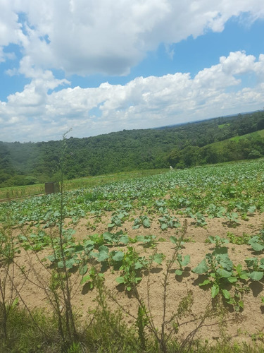 Imagem 20 de 30 de 20o Terreno Em Cotia Com 600m Em Cotia