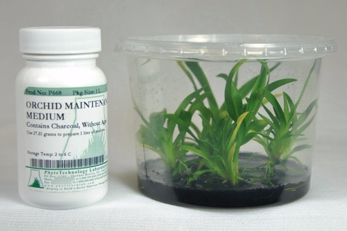 Medio De Cultivo Para Orquídeas P668 10l