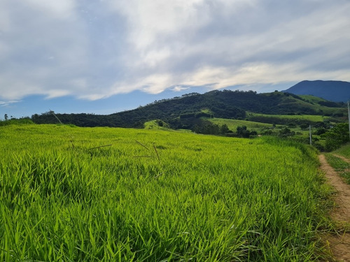 Imagem 8 de 8 de Chácara Rural Pindamonhangaba - Sp - Piracuama - Ch-11600