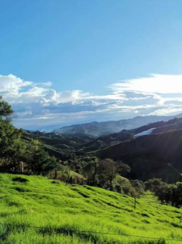 Venta De Finca Vereda San Antonio Abejorral