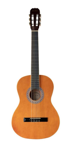 Guitarra Acústoca Sgc-25 Ts Status
