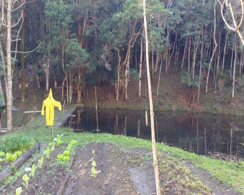 Imagem 24 de 26 de Sítio À Venda Em Juquitiba - 274 - 32982860