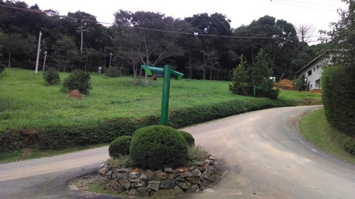 Imagem 4 de 5 de Terreno Semi Plano Em Santo Antonio Do Pinhal - St-412