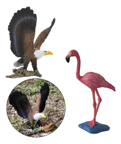 Figuras De Animales Realistas, Modelo De Pájaros,