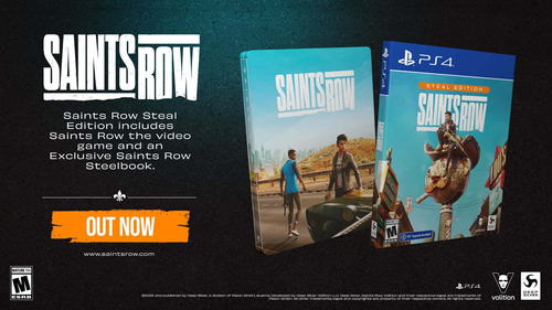 Saints Row Steal Edition, Stealbook, Ps4, Plaion