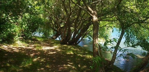 Imagen 8 de 16 de Agrícola En Venta En Lago Ranco