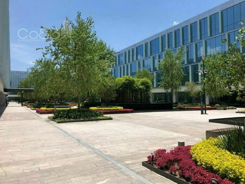 Imagen 1 de 13 de Renta - Oficina - Centrum Park - 11,364 M2