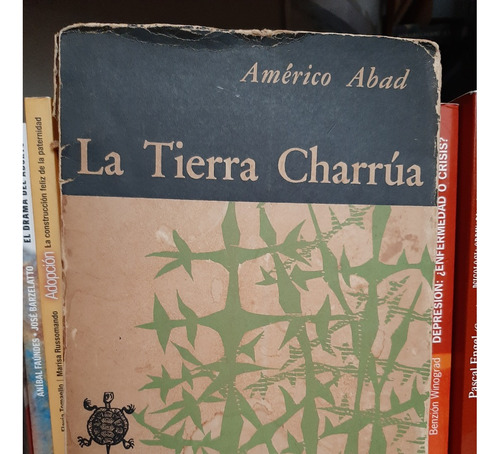 La Tierra Charrua. Americo Abad. Ilust. De Ruisdael Suarez