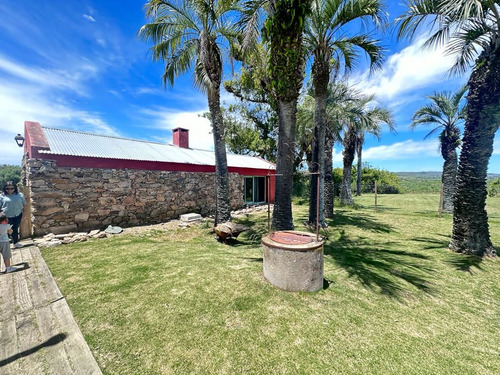 Maldonado Venta Chacra 38 Hectareas 50km De Punta Del Este