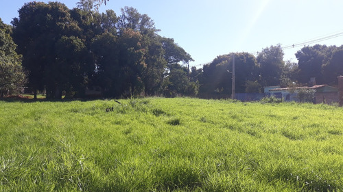Imagen 10 de 15 de Vendo 1600 M2 En San Lorenzo