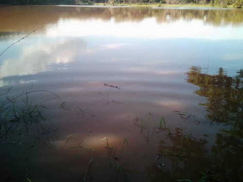 Imagen 15 de 26 de Finca En Venta ,calabozo Guarda Tinajas