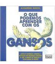 Livro Administração O Que Podemos Aprender Com Os Gansos De Alexandre Rangel Pela Panda Books (2003) (Usado)