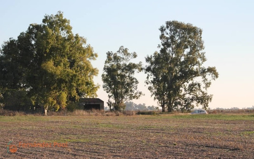 Imagen 2 de 23 de Oportunidad Campo En Zavalla