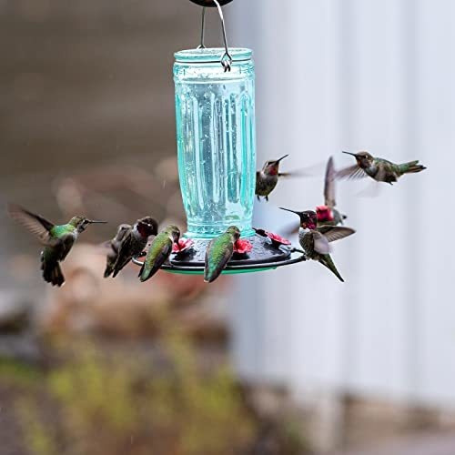 Bebedero Para Colibri Botella De Vidrio + Foso De Hormigas V