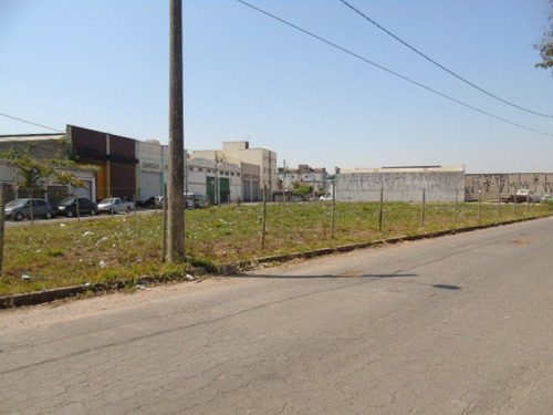 Imagem 4 de 13 de Excelente Terreno 3.000 M² Ao Lado Severino Baristelho. - 7751