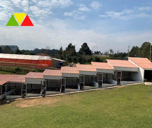 Imagem 21 de 30 de Chacara - Ch00144 - 69469018