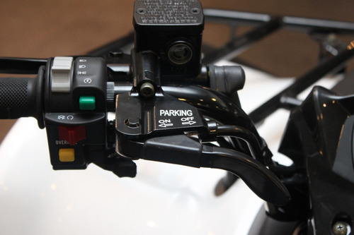 Cuatriciclo Kawasaki Brute Force 300- 6 Payments 0% Taxes-
