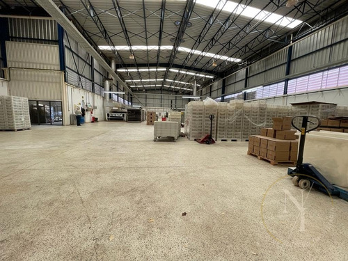 Imagem 13 de 15 de Excelente Galpão - 1400m² - Ramo Alimentício - Vila Lucia - São Paulo - 6726