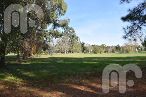 Imagen 2 de 12 de Venta Terreno - Club Miralagos