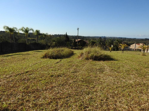Imagem 8 de 30 de Terreno Gigante 1600 - 35519v