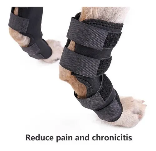 Ferula Rodilla Almohadillas Perro Apoyo Para Pierna Talla M