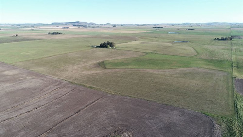 Imagen 22 de 28 de Campo 39 Has. Agrícolas Con Mejoras - Zona Dos Naciones