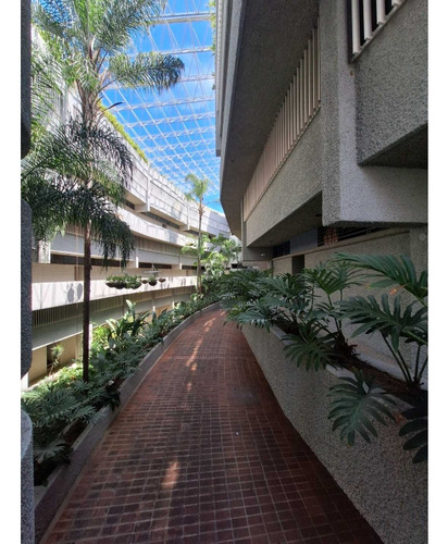 Apartamento En Terrazas De Club Hipico 280m2. 3 Niveles (py)