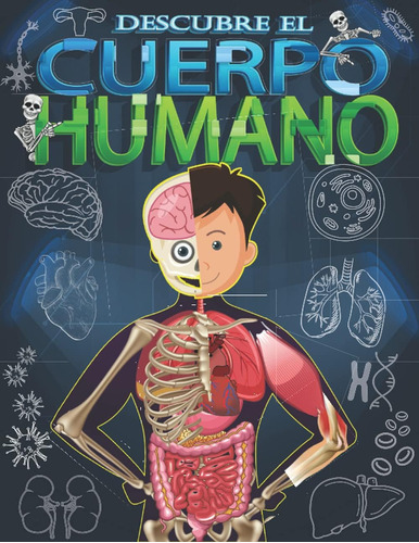 Libro: Descubre El Cuerpo Humano: Mira Debajo De Tu Cuerpo A