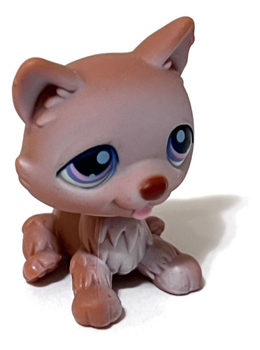 Littlest Pet Shop #37 Husky Perro Bronceado Ojos Púrpura Acc (Usado)