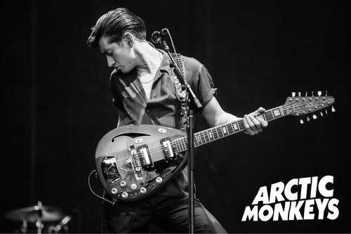 Arctic Monkeys Poster Po197 30x45 Alex Turner The Strokes 