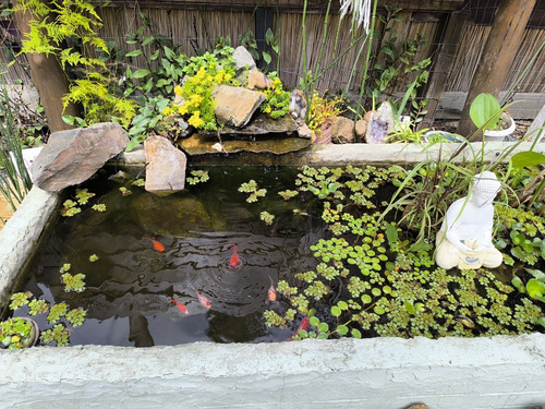 Casa Piscina Climatizada Abierta Fuera De Servicio