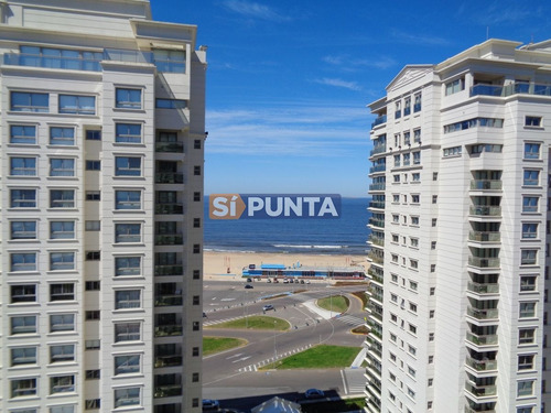 Imagen 1 de 12 de Apartamento En Brava, 2 Dormitorios *