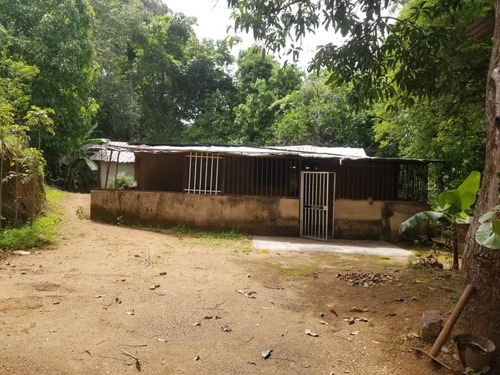 Imagen 9 de 12 de Vendo O Cambio Terreno Con Casa Cercada
