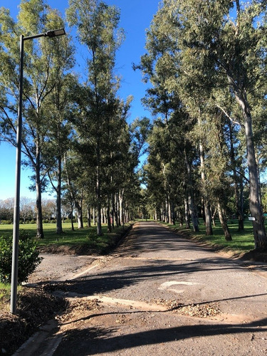 Imagen 5 de 13 de Lote | Ruta Nacional Nº 8