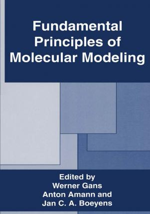 Libro Fundamental Principles Of Molecular Modeling - Wern...