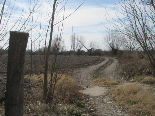 Imagen 5 de 8 de Finca En Venta - San Carlos - Valle De Uco