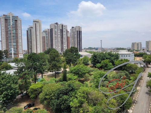 Imagem 14 de 16 de Sala Comercial À Venda Em Osasco, Próximo À Matriz Do Banco Bradesco. - Sa00017 - 70378594
