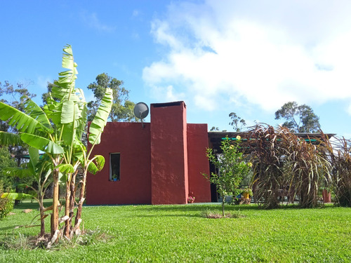 Casa Nueva, Rodeada De Naturaleza, En Diamante De La Pedrera