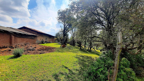 Hermoso Rancho De 10 Hectáreas Con Casa