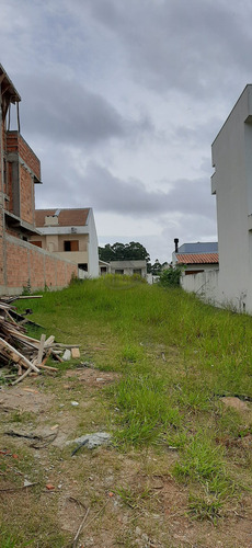 Terreno - Te00223 - 69010931