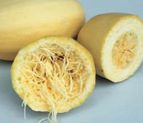 100 Semillas De Calabaza Boloñesa Suiza