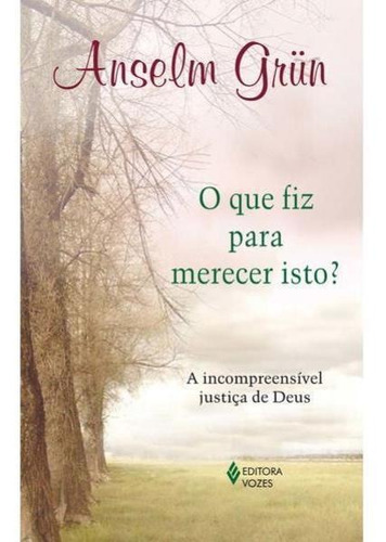 Que Fiz Para Merecer Isto?: A Incompreensível Justiça De Deus, De Grün, Anselm. Editora Vozes, Capa Mole Em Português
