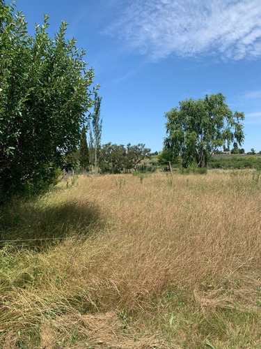 Vendo Muy Linda Chacra Con 3 Casas, 2 Galpones Y Un Parque Arbolado Único!!!!!!!!!!