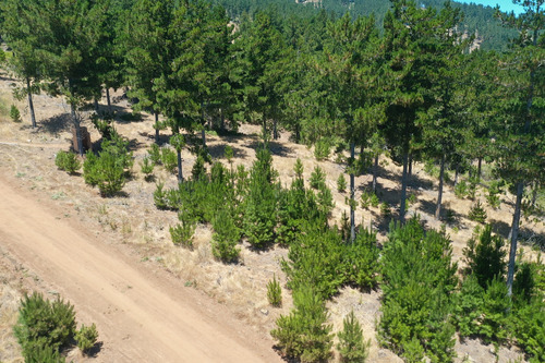 Excelente Terreno En Boyeruca