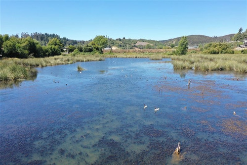 Imagen 11 de 22 de Sitio En Venta En Concepción