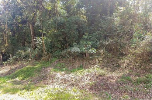 Imagem 5 de 8 de Área - Residencial - 931526