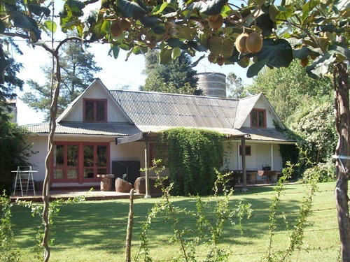 Parcela 3 Ha, Con Casa Más Plantación De Kiwi Hayward