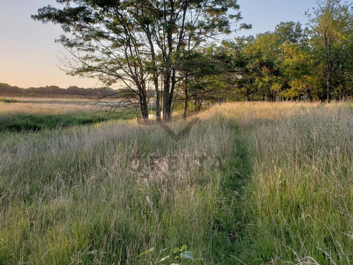 Lote En Venta En Estancia Carabassa, Pilar, Al Verde